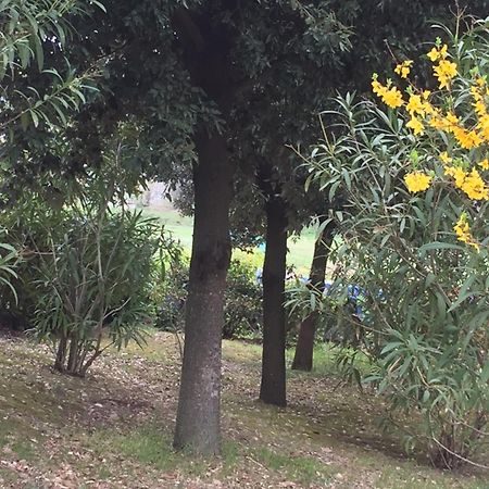 Appartamento Dell Agriturismo Pane E Olio 托迪 外观 照片