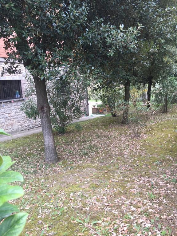 Appartamento Dell Agriturismo Pane E Olio 托迪 外观 照片