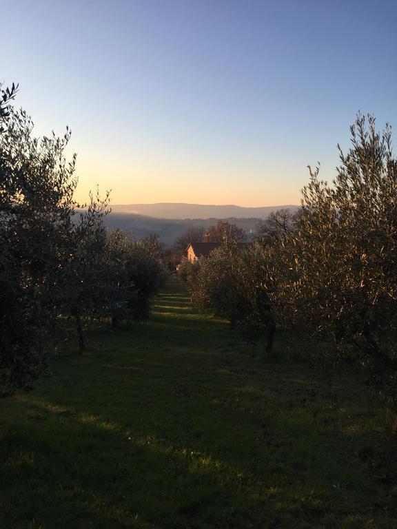 Appartamento Dell Agriturismo Pane E Olio 托迪 外观 照片